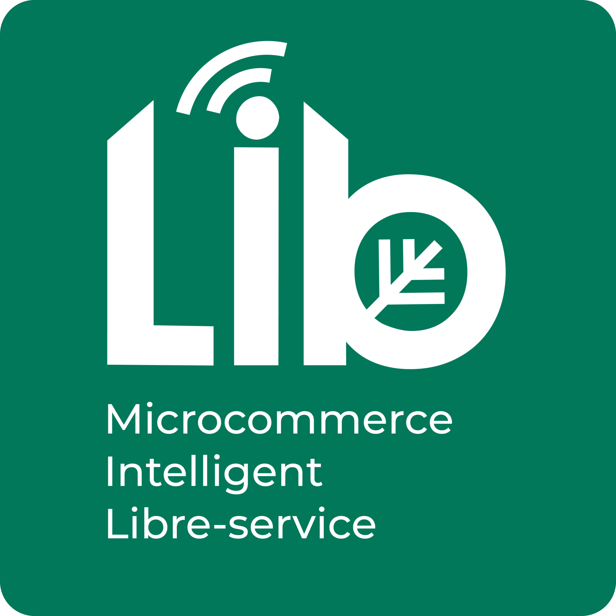 Logo LIB Microcommerce